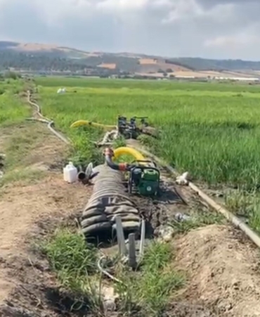 Gönen Ovası’nda çeltik tarlaları susuz kaldı
