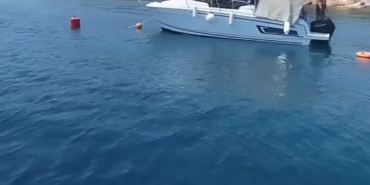 Ayvalık Adaları’nda deniz çayırları korunuyor