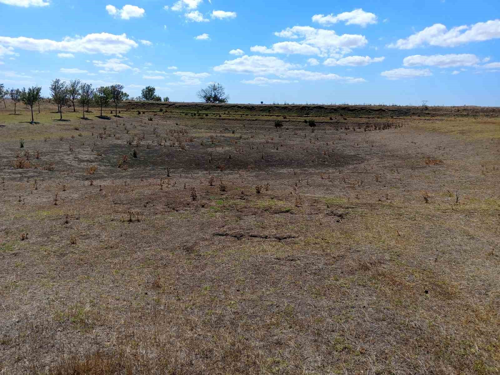 Ballıhoca Sulama Göleti kurudu