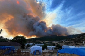 Alevler çiftlikleri tehdit etti, hayvanlar kurtarıldı
