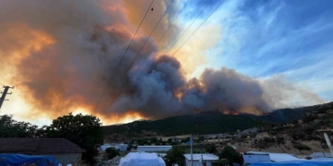 Alevler çiftlikleri tehdit etti, hayvanlar kurtarıldı