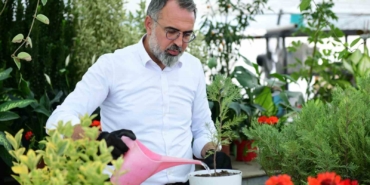Türkiye’nin süs bitki ihtiyacının yüzde 60’ını karşılayan Kestel, gövde gösterisine hazırlanıyor