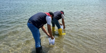 Kırklareli’ndeki göletlere 1 milyon 844 bin sazan yavrusu bırakıldı