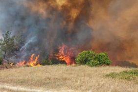 Bursa Valiliği: "Yenişehir’deki orman yangını kontrol altına alındı"