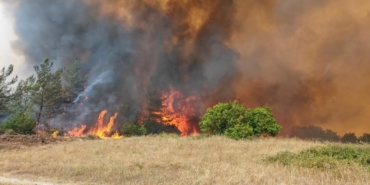 Bursa Valiliği: "Yenişehir’deki orman yangını kontrol altına alındı"