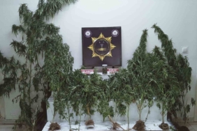 Edremit’te uyuşturucu operasyonu: Esrar ve kenevir ele geçirildi