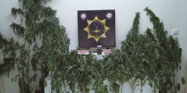 Edremit’te uyuşturucu operasyonu: Esrar ve kenevir ele geçirildi