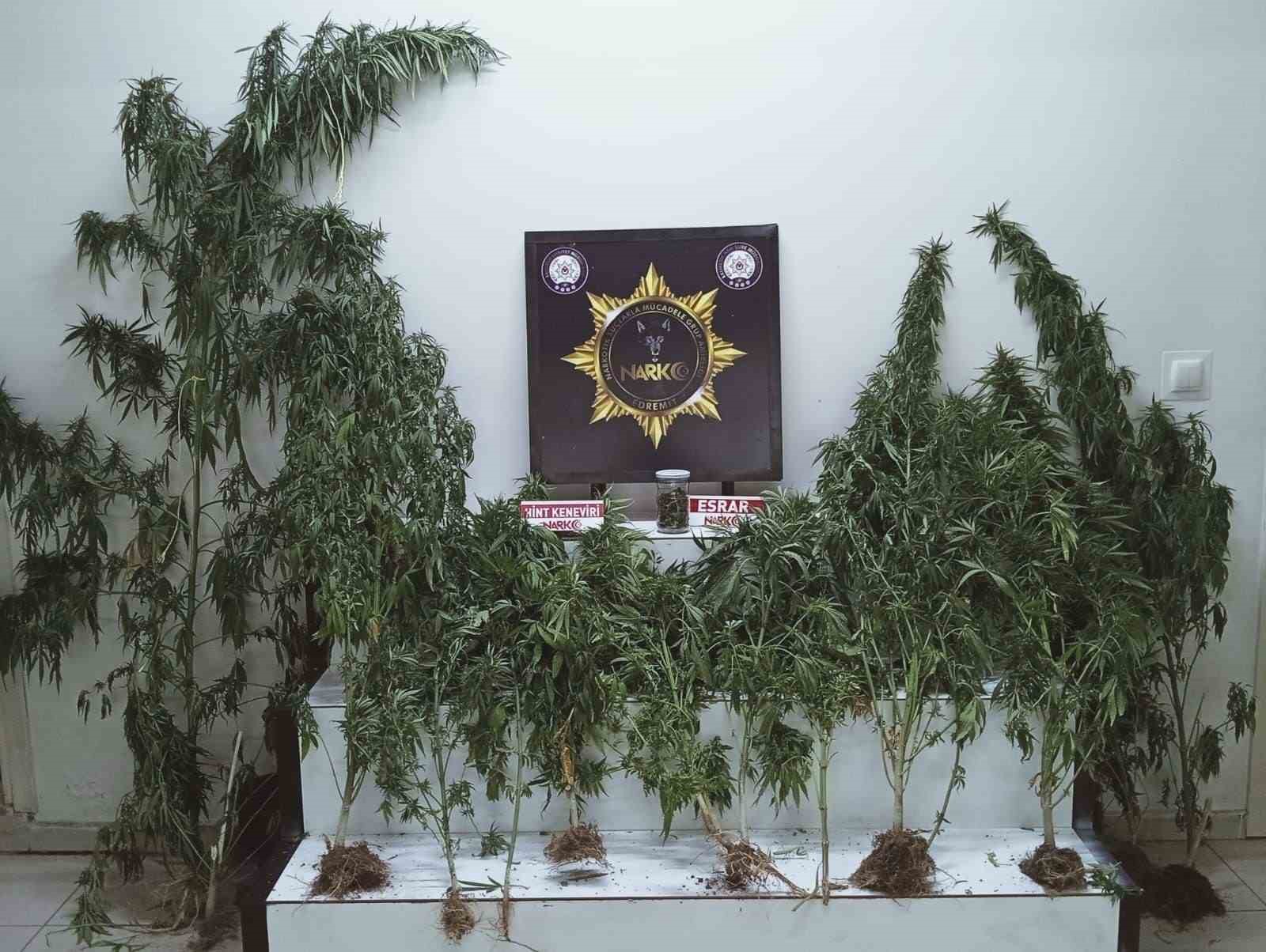 Edremit’te uyuşturucu operasyonu: Esrar ve kenevir ele geçirildi