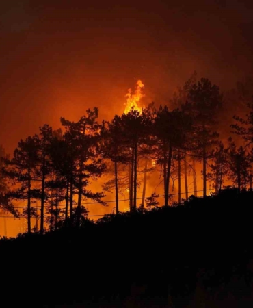 Yanan 3 bin hektar orman için 100 yıl gerekiyor