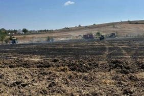 20 dönümlük alan anız yangınında kül oldu