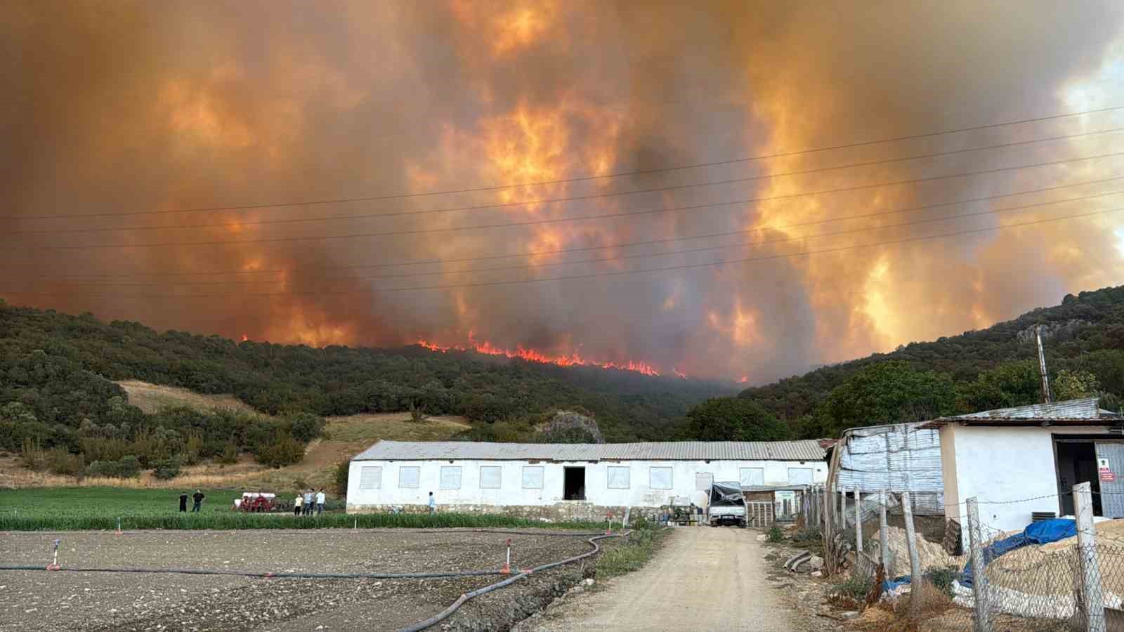 Orman yangınındaki alevler, tavuk çiftliklerine doğru ilerliyor