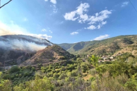 Tekirdağ’da alevler Uçmakdere’ye yaklaşıyor: Vatandaşlar da müdahaleye katıldı