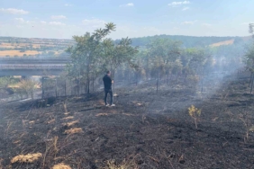 Babaeski’de ağaçlık alanda çıkan yangın söndürüldü