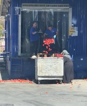 Zincir markette kasalar dolusu domates çöpe döküldü, o anlar tepki topladı