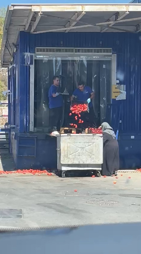 Zincir markette kasalar dolusu domates çöpe döküldü, o anlar tepki topladı