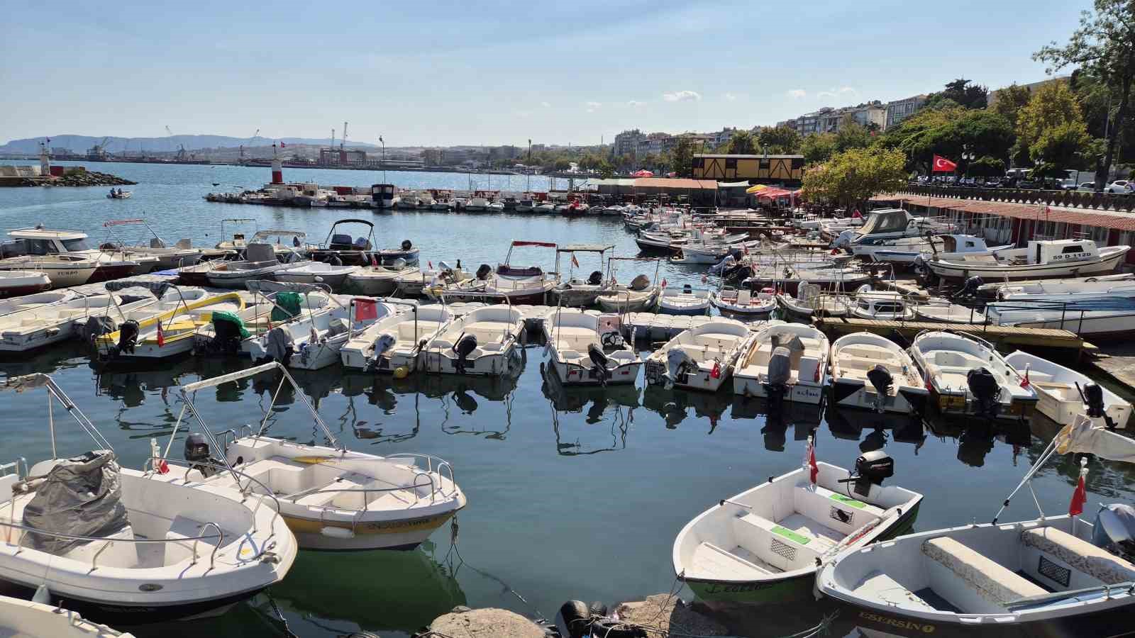 Limanda tatlı telaşe: Balıkçılar Lüfer ve palamuttan umutlu