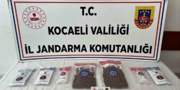Kocaeli’de 114 adet sentetik ecza ele geçirildi: 2 tutuklama
