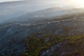 Gelibolu’da büyük ölçüde kontrol altına alınan orman yangınında yanan yerler dronla görüntülendi