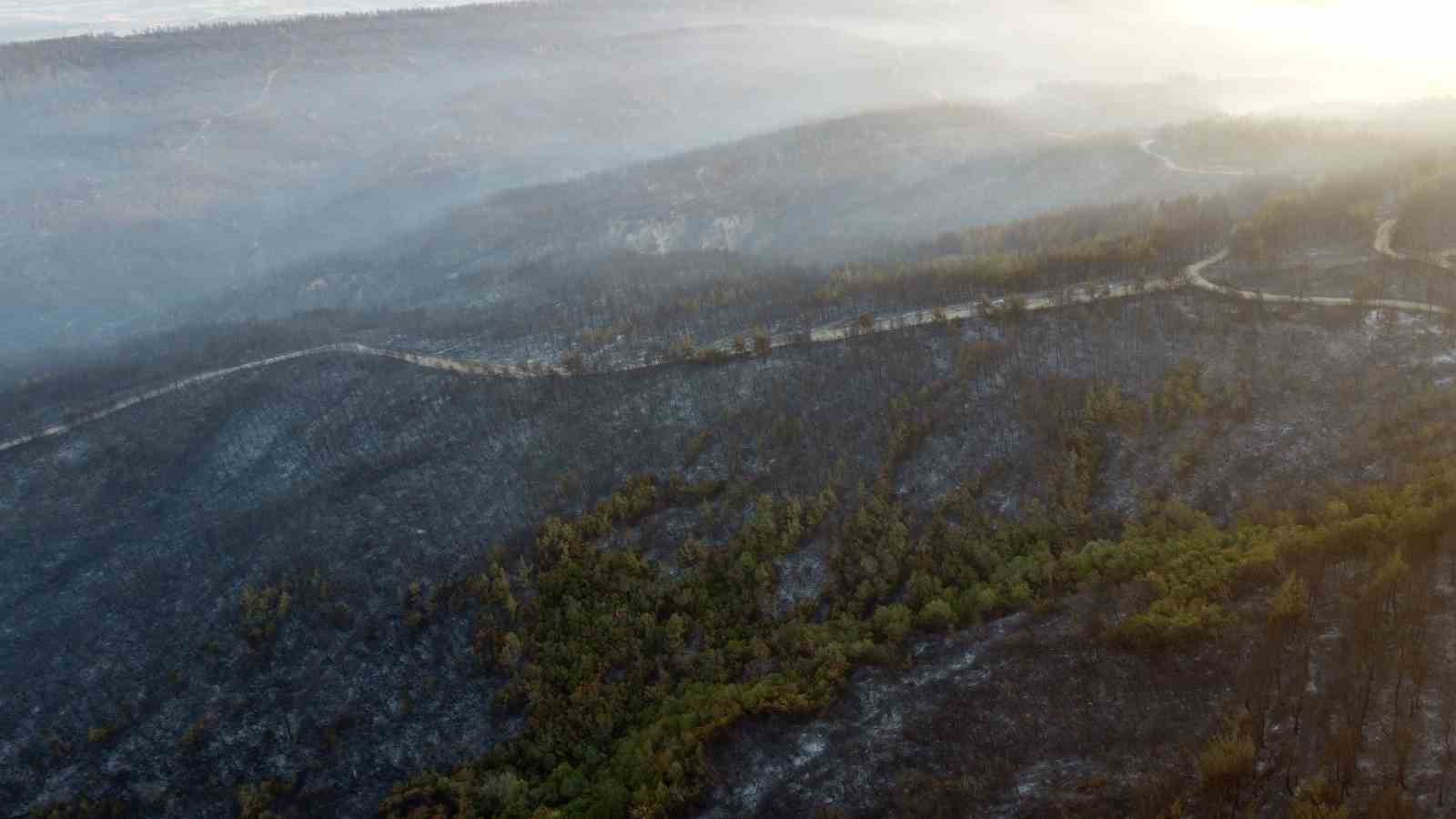 Gelibolu’da büyük ölçüde kontrol altına alınan orman yangınında yanan yerler dronla görüntülendi