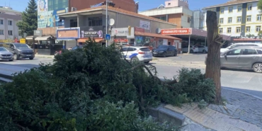 Ataşehir’de kuvvetli rüzgar ağacı devirdi, bina girişini kapattı