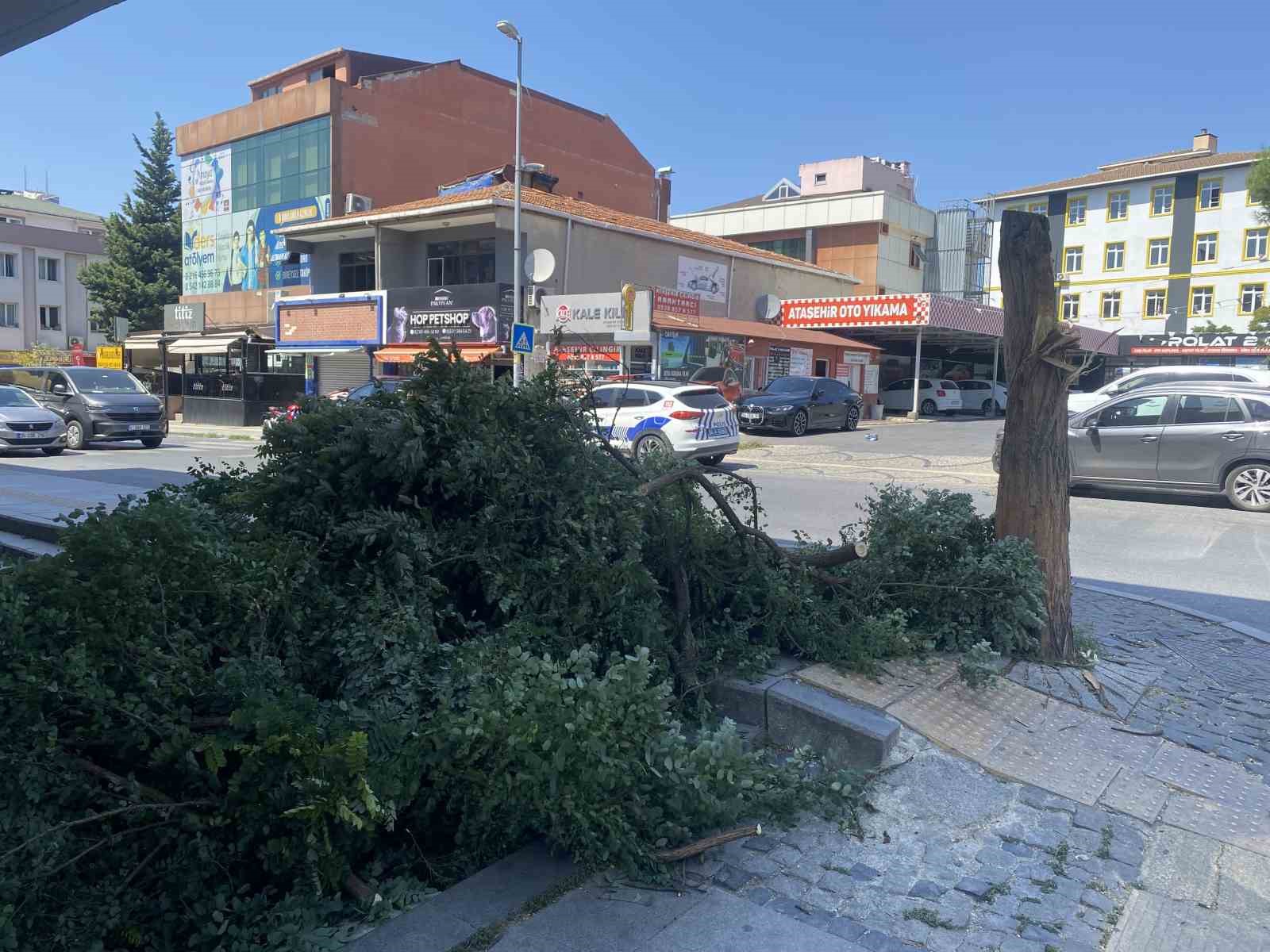 Ataşehir’de kuvvetli rüzgar ağacı devirdi, bina girişini kapattı