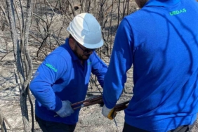 Enerji hatları yangının ardından yeniden onarılıyor