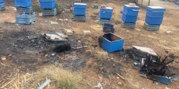 Milyonlarcası ateşe uçtu bir daha geri dönmedi