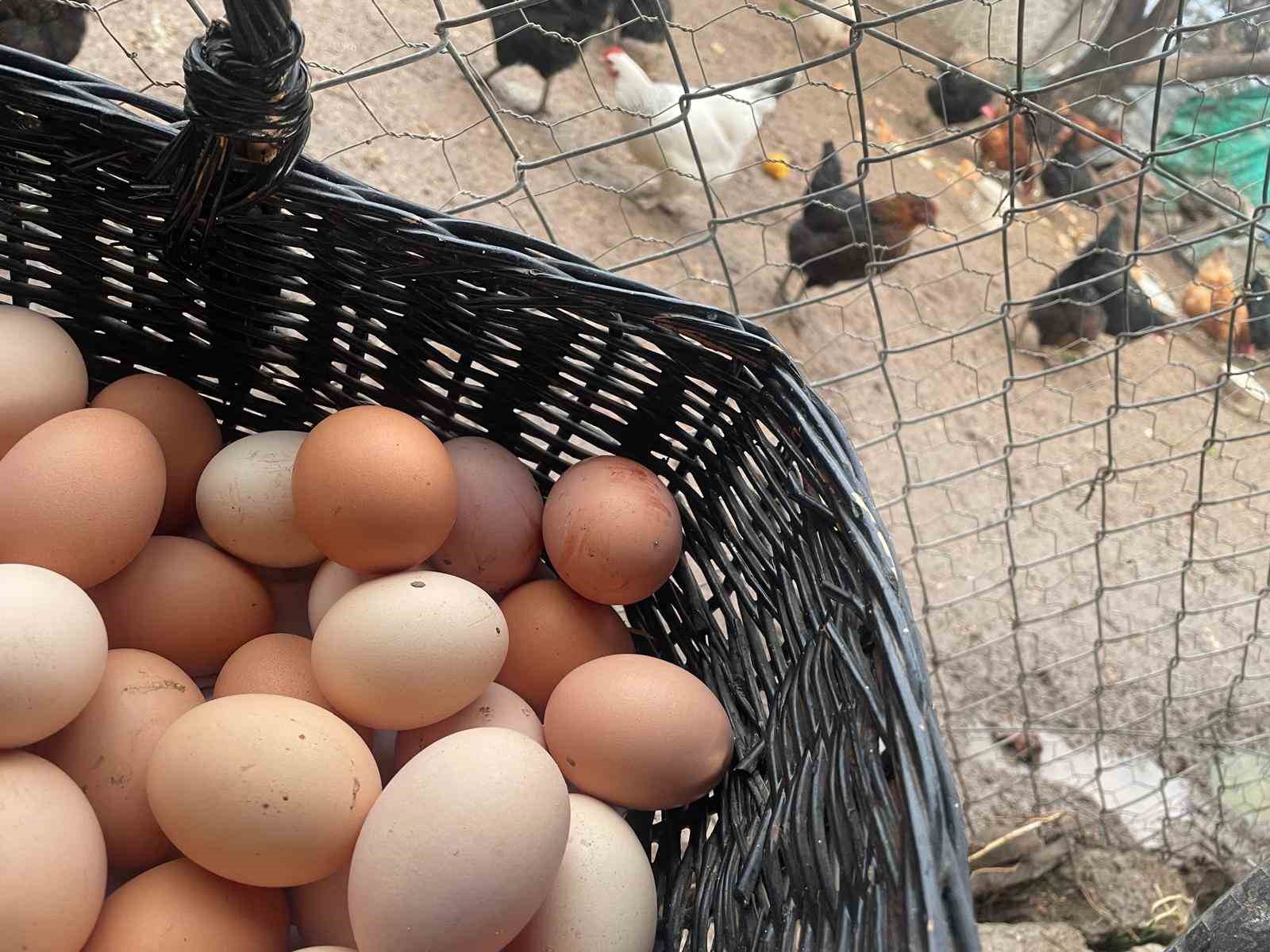 Okulların açılması yumurtayı "Mayıs çukuru"ndan kurtaracak