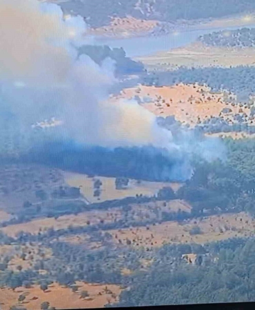 Ayvacık’ta ormanlık alanda yangına, müdahale devam ediyor