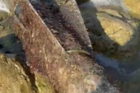 Şile sahilinde roket başlığı olduğu değerlendirilen cisim imha edildi