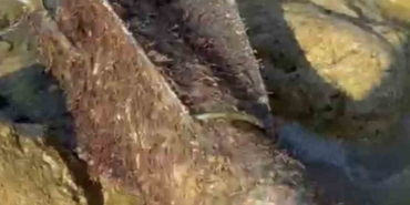 Şile sahilinde roket başlığı olduğu değerlendirilen cisim imha edildi