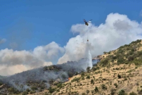 Tekirdağ Şarköy’de makilik alanda çıkan yangına müdahale ediliyor
