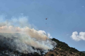 Tekirdağ’da sabah söndürülen yangın, öğleden sonra yeniden başladı