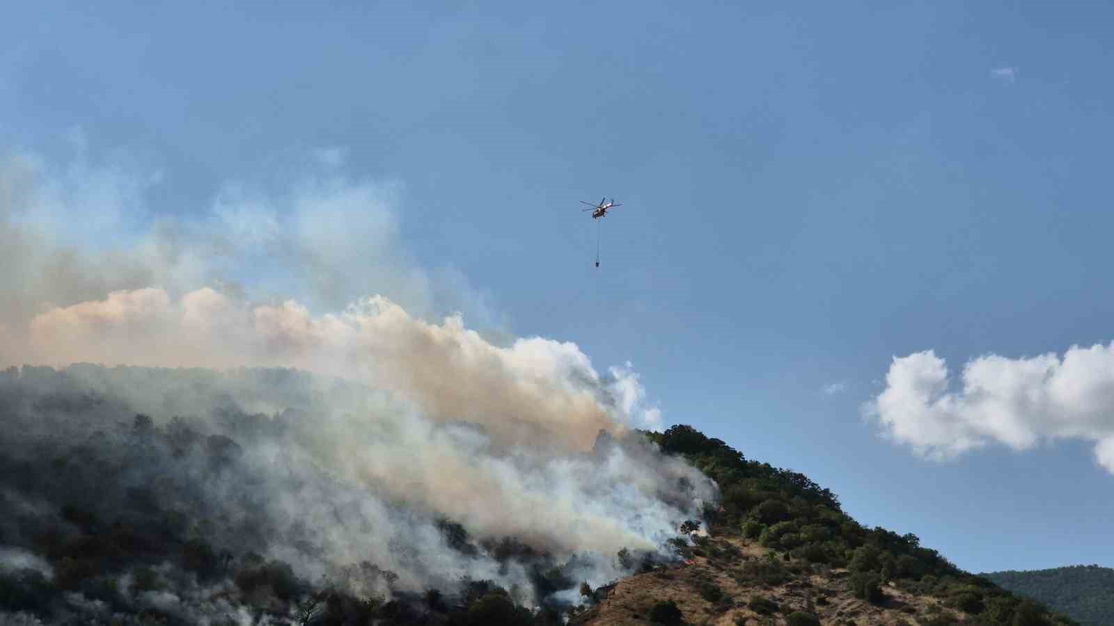Tekirdağ’da sabah söndürülen yangın, öğleden sonra yeniden başladı