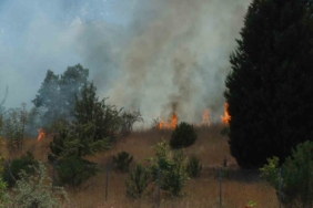 Kırklareli’nde anızlık alanda çıkan yangın ağaçlık alana sıçradı: Avrupa otoyolu ulaşıma kapandı