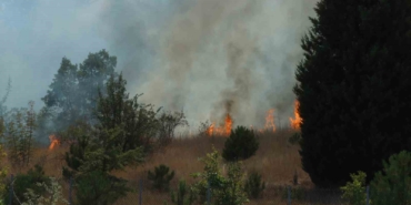 Kırklareli’nde anızlık alanda çıkan yangın ağaçlık alana sıçradı: Avrupa otoyolu ulaşıma kapandı