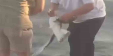 Oltaya balık yerine martı takıldı