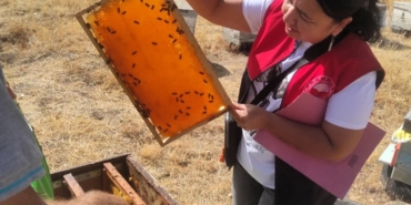 Pınarhisar’da arılı kovan tespit çalışması yapıldı