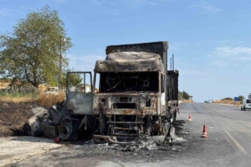 Çamaşır makinesi yüklü tır alev topuna döndü