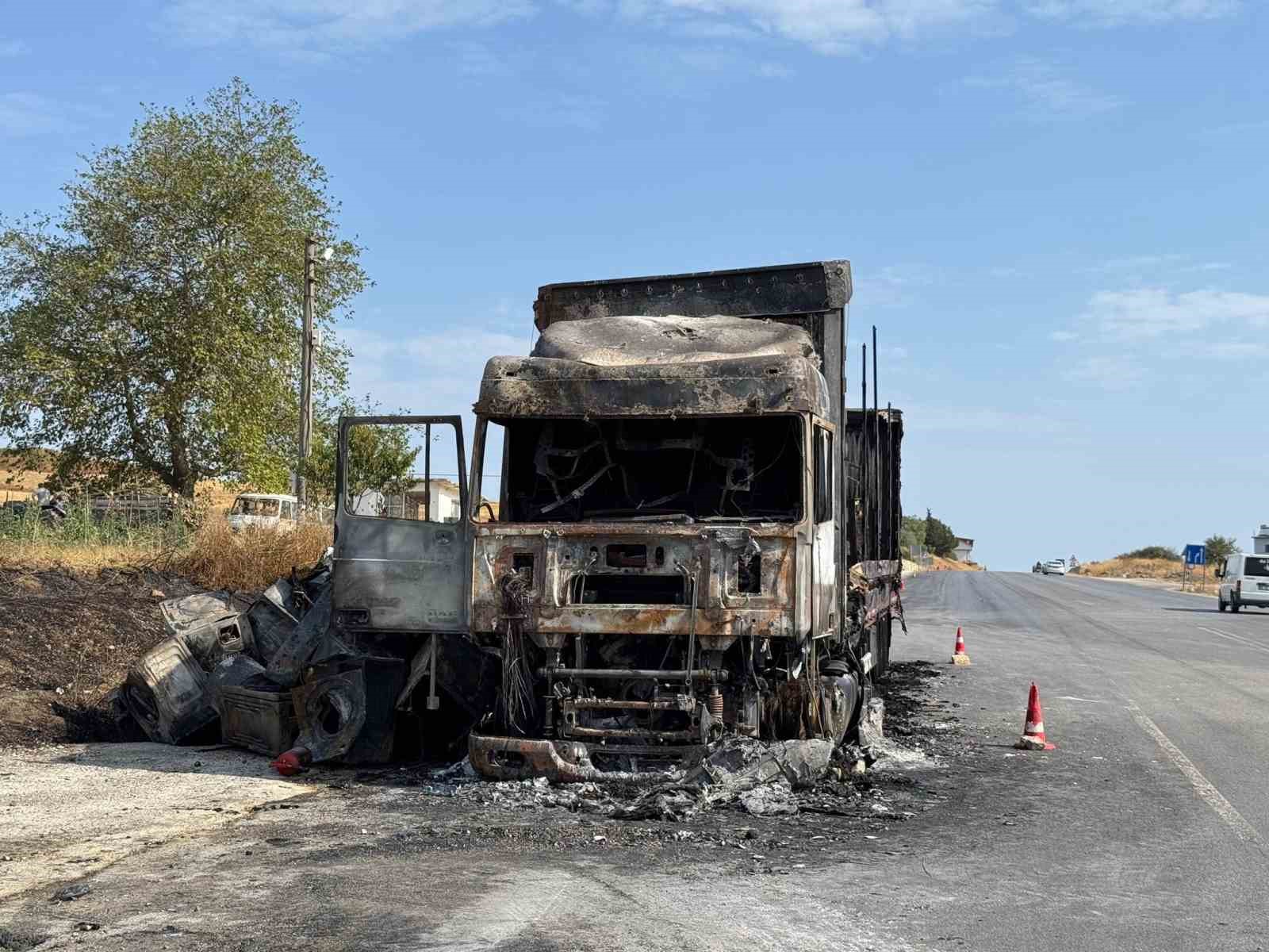 Çamaşır makinesi yüklü tır alev topuna döndü