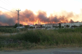 Edirne’de tarlada çıkan yangın ormanlık alana doğru ilerliyor