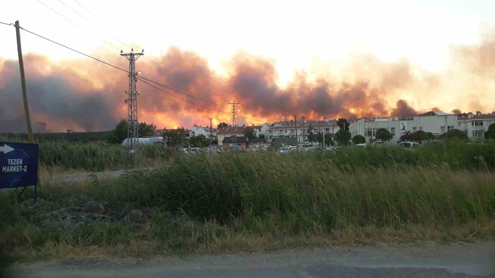 Edirne’de tarlada çıkan yangın ormanlık alana doğru ilerliyor