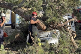 Aracıyla düz yolda giderken kabusu yaşadı