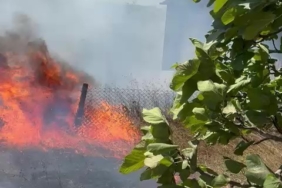 Karmürsel’den sonra Kandıra’da da yangın başladı