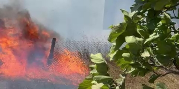 Karmürsel’den sonra Kandıra’da da yangın başladı