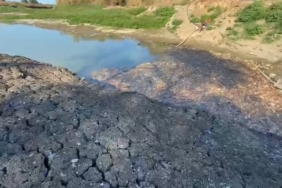 Çanakkale’de Kocabaş Çayı alarm verdi, toplu balık ölümleri yaşandı