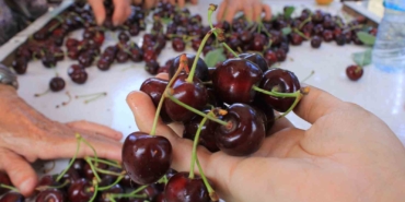 Meyve sebze ihracatçısı ürün eksikliği ve dövizle boğuşuyor