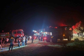 Geyve’de çıkan yangında 5 dönüm alan zarar gördü