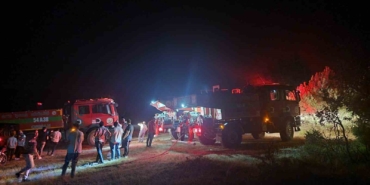 Geyve’de çıkan yangında 5 dönüm alan zarar gördü