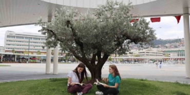 Milli İrade Meydanı’na 300’den fazla ağaç dikildi